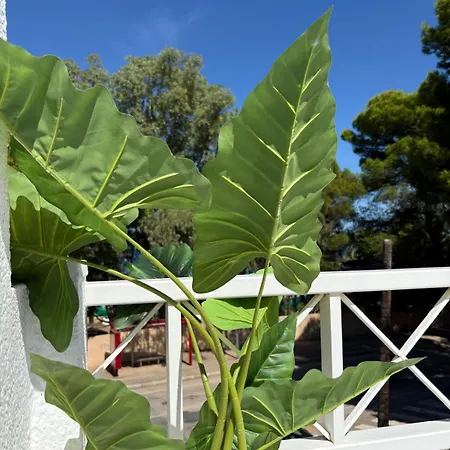 Wake Up By The Sea In Your Cozy Corner